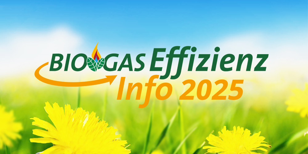 BIOGAS Effizienz Info 2025